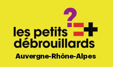 Les Petits Débouillards